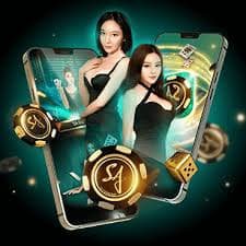 zk77 game
